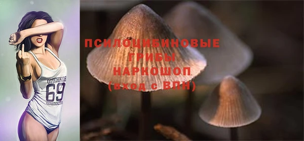 прущий лед Арсеньев