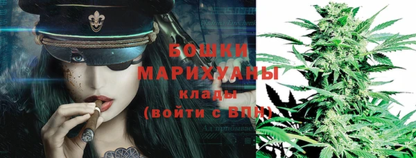 прущий лед Арсеньев
