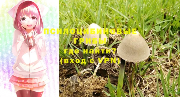не бодяженный Армянск