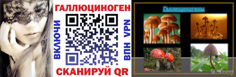 blacksprut маркетплейс  Тюкалинск  Псилоцибиновые грибы мицелий 